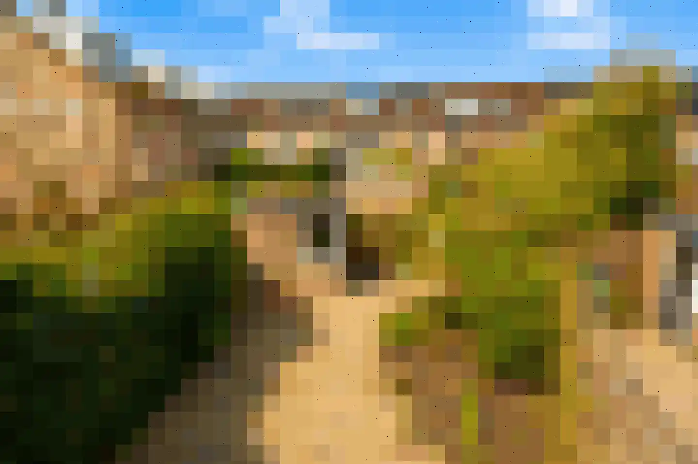 Waterhoen 3 Muiderberg thumbnail 28