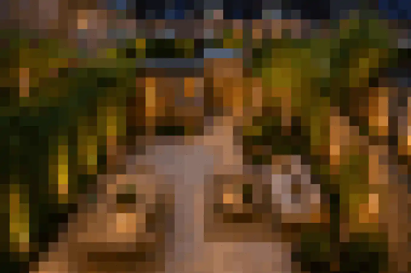 Waterhoen 3 Muiderberg thumbnail 29