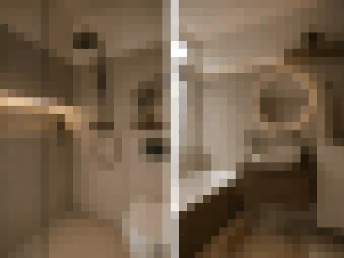 Waterhoen 3 Muiderberg thumbnail 31
