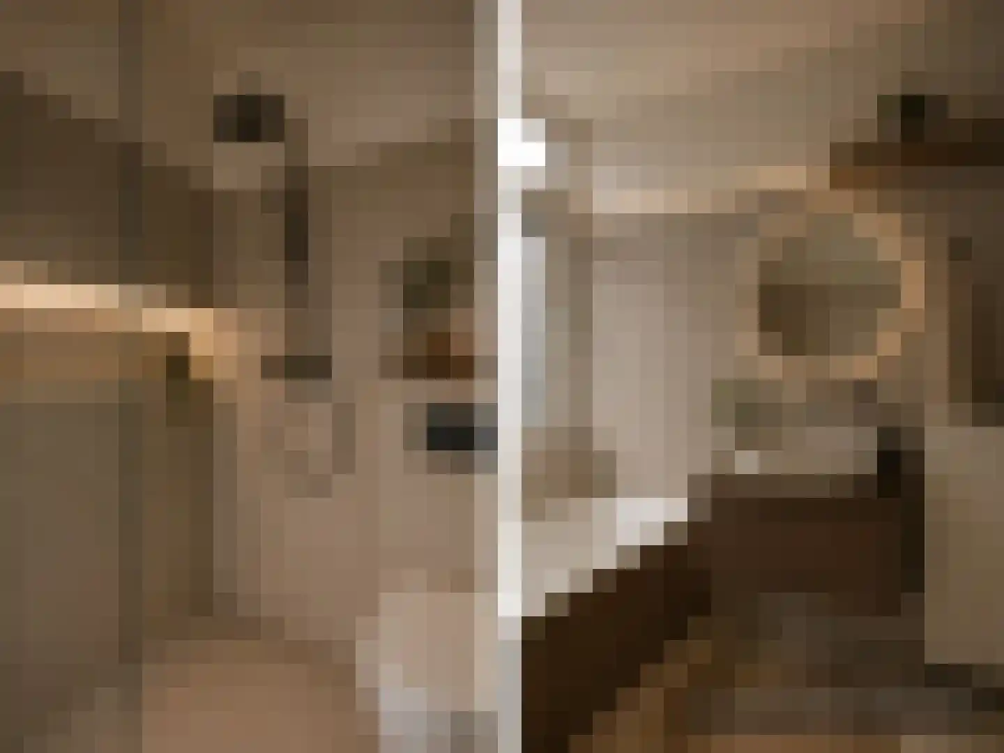 Waterhoen 3 Muiderberg thumbnail 31