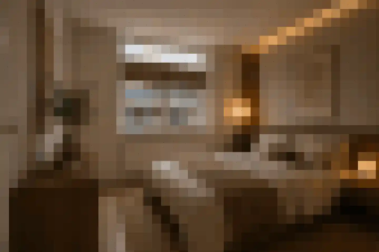 Waterhoen 3 Muiderberg thumbnail 35