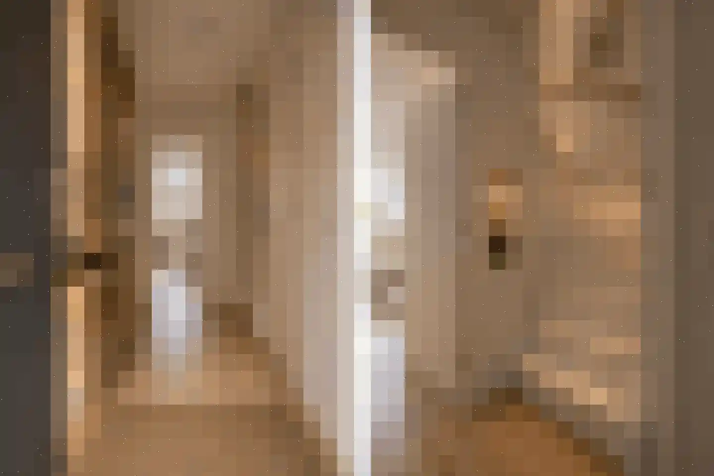 Waterhoen 3 Muiderberg thumbnail 4