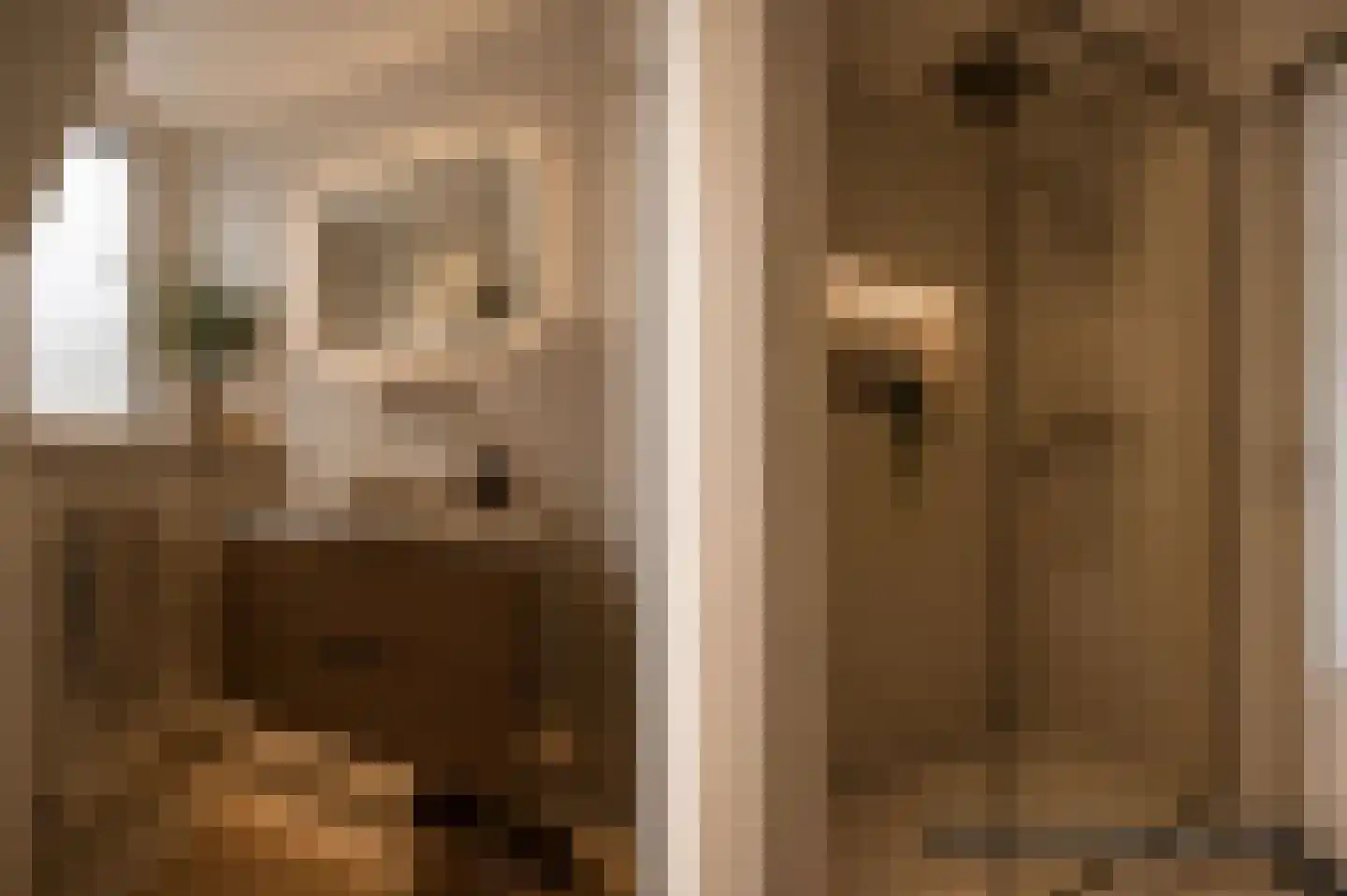 Waterhoen 3 Muiderberg thumbnail 40