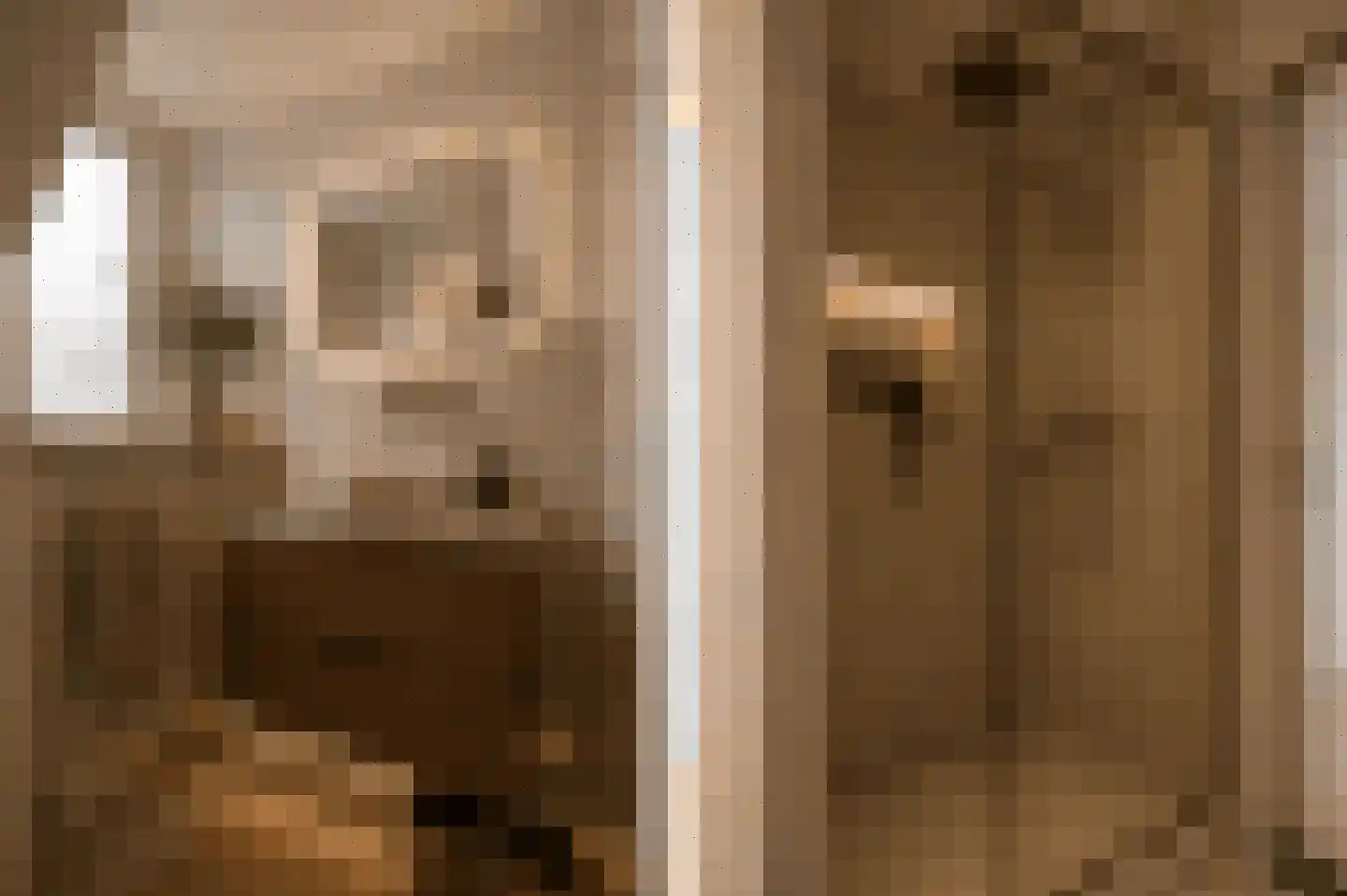 Waterhoen 3 Muiderberg thumbnail 40