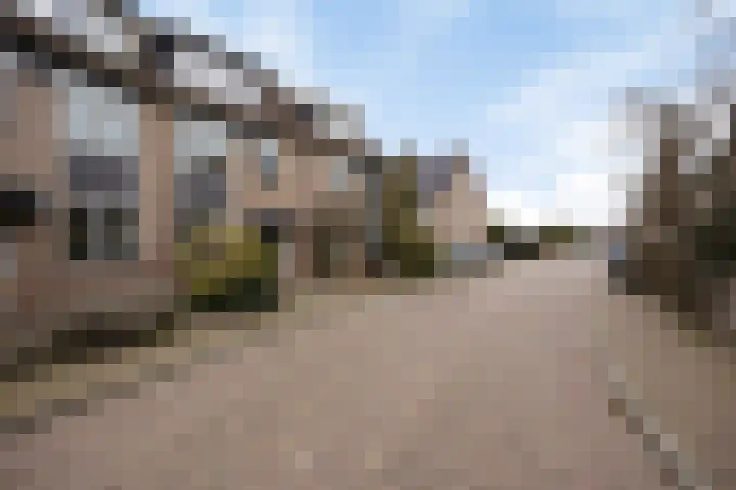 Waterhoen 3 Muiderberg thumbnail 43