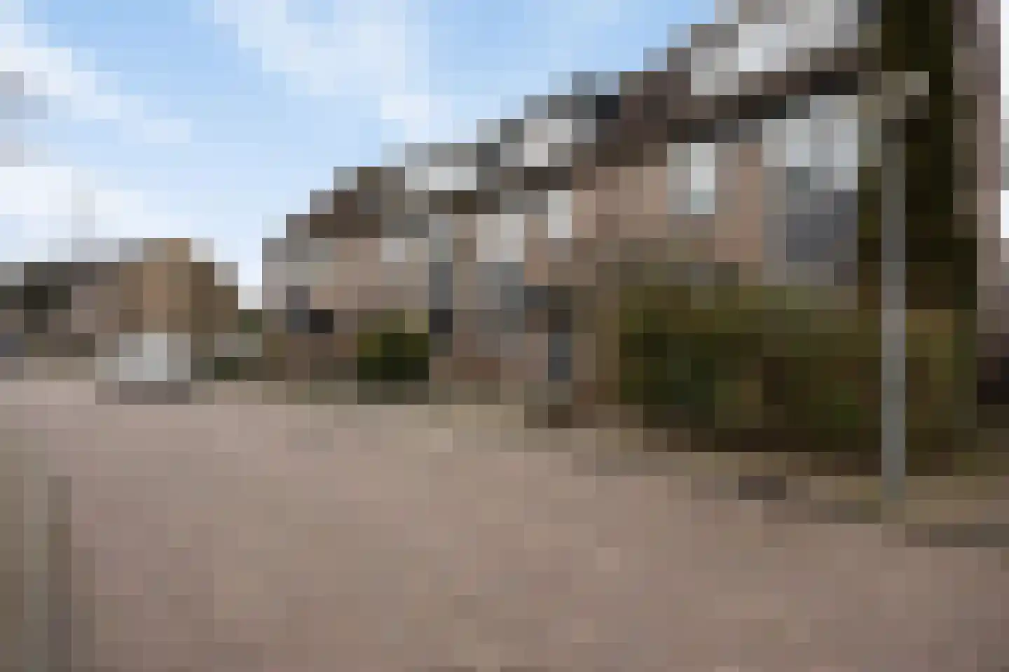 Waterhoen 3 Muiderberg thumbnail 44