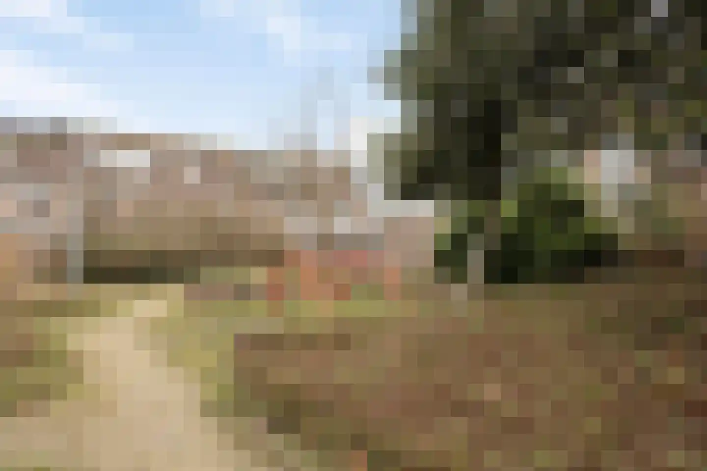 Waterhoen 3 Muiderberg thumbnail 45