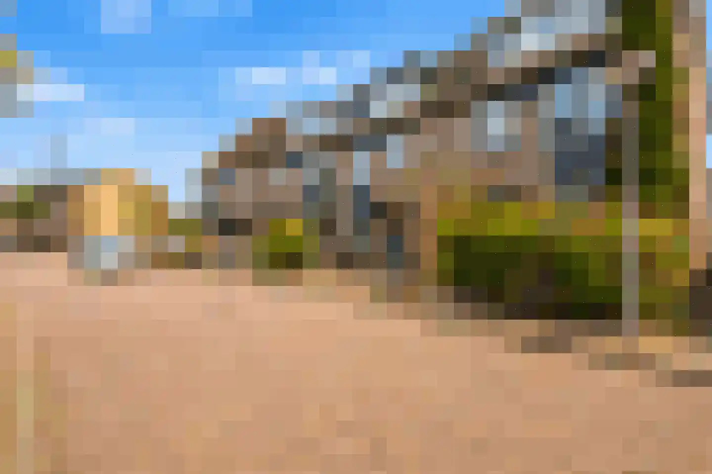 Waterhoen 3 Muiderberg thumbnail 52