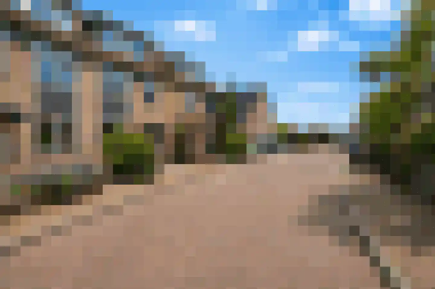 Waterhoen 3 Muiderberg thumbnail 53