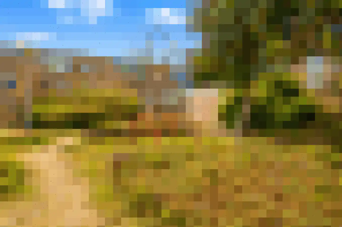 Waterhoen 3 Muiderberg thumbnail 54