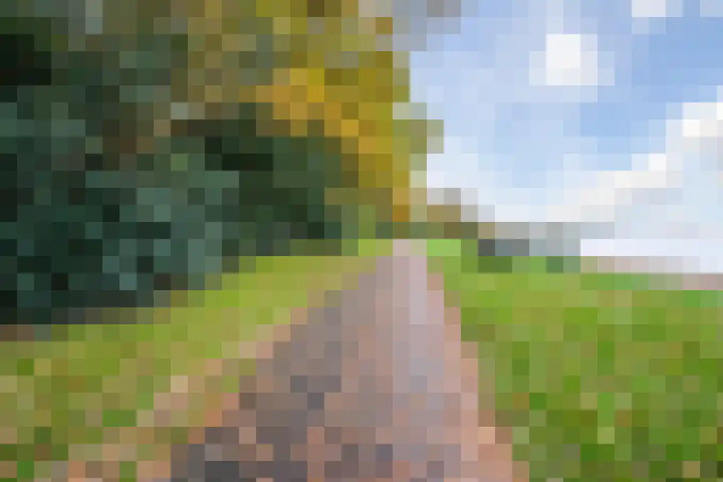 Waterhoen 3 Muiderberg thumbnail 55