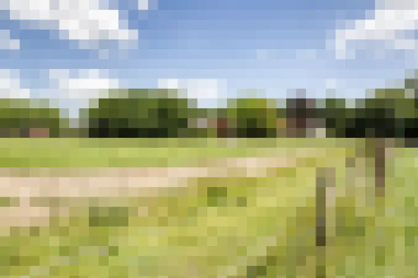 Waterhoen 3 Muiderberg thumbnail 59