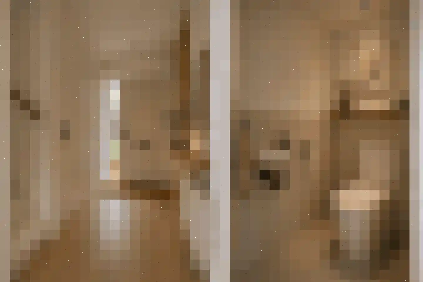 Waterhoen 3 Muiderberg thumbnail 6