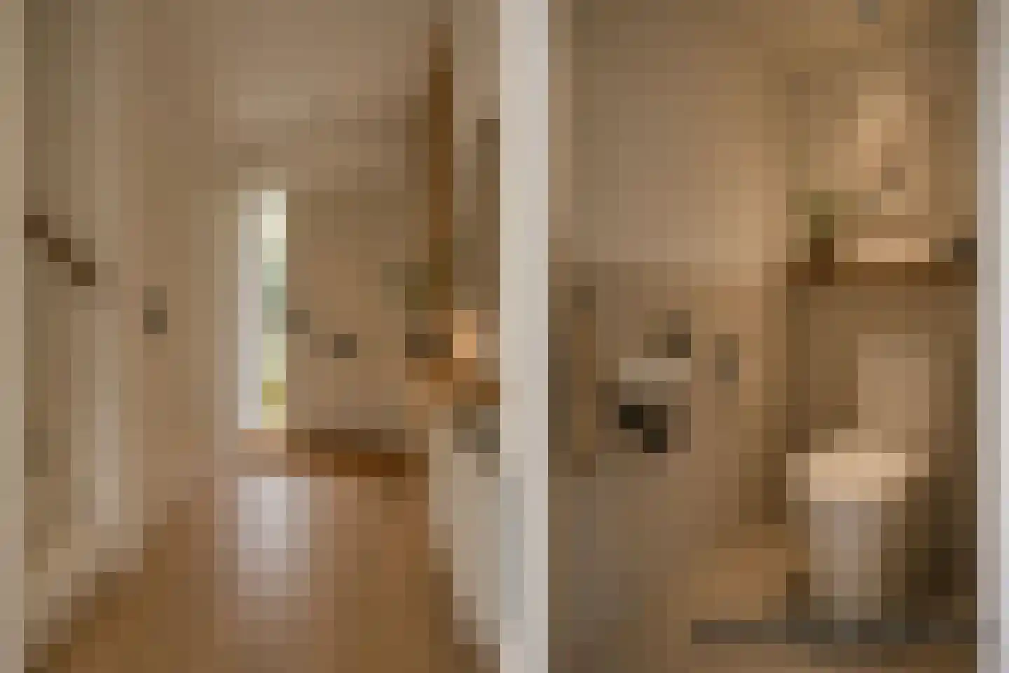 Waterhoen 3 Muiderberg thumbnail 6