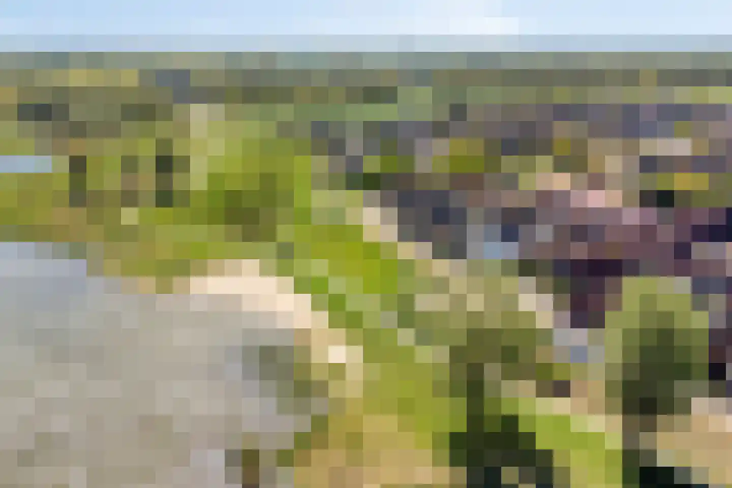 Waterhoen 3 Muiderberg thumbnail 63