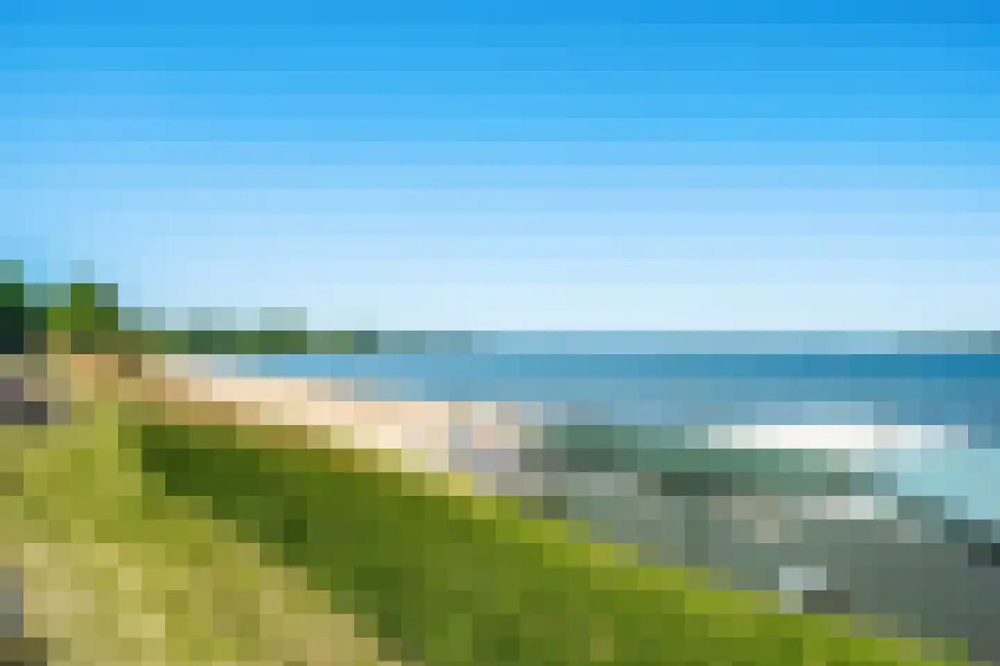 Waterhoen 3 Muiderberg thumbnail 69