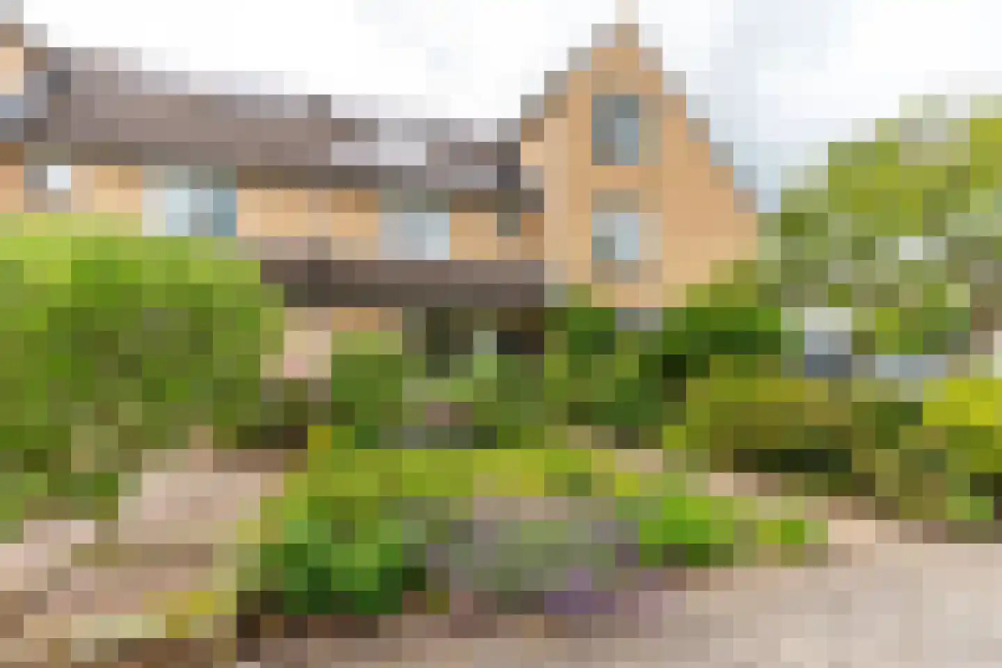 Waterhoen 38 Driebergen-Rijsenburg thumbnail 21
