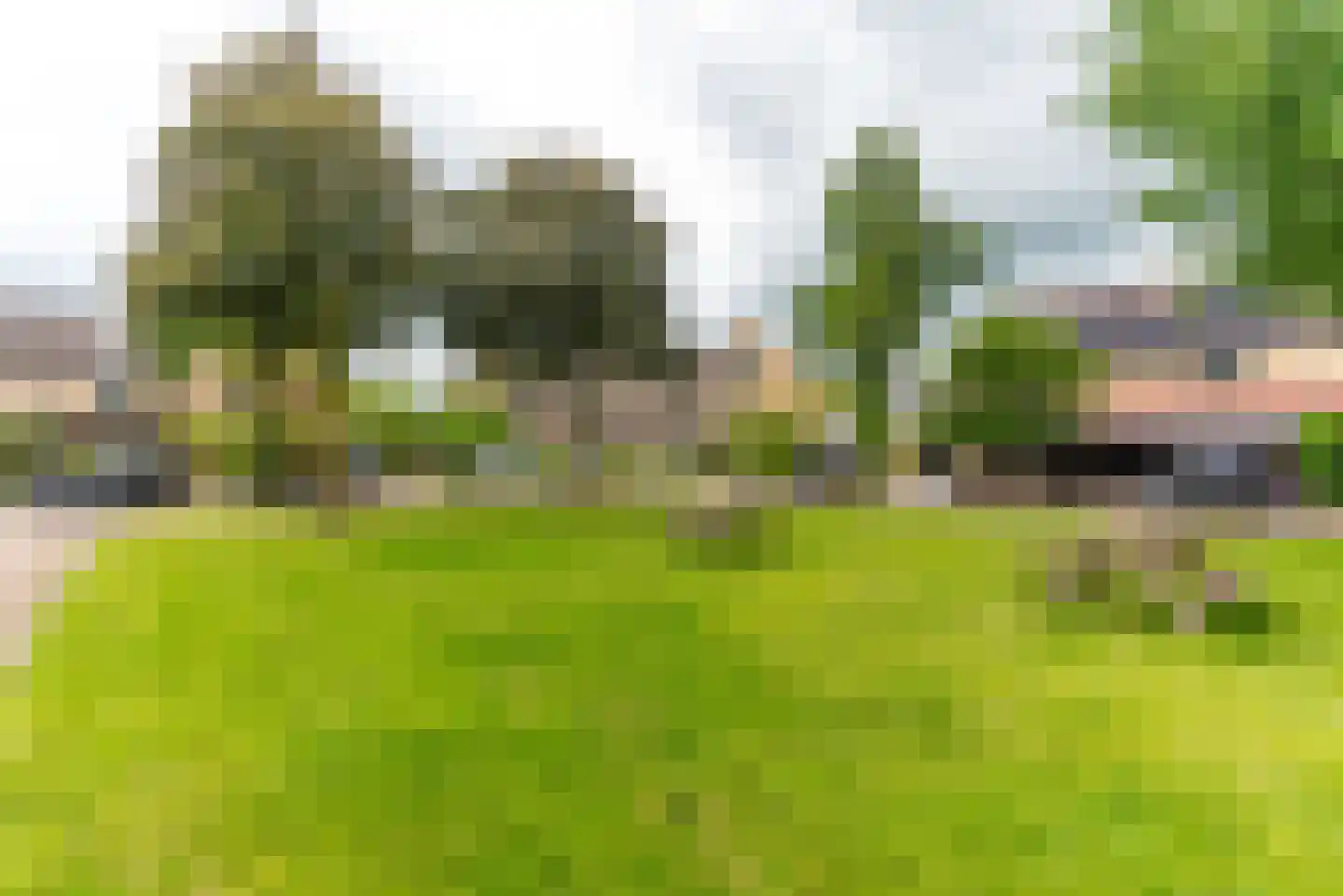 Waterhoen 38 Driebergen-Rijsenburg thumbnail 22