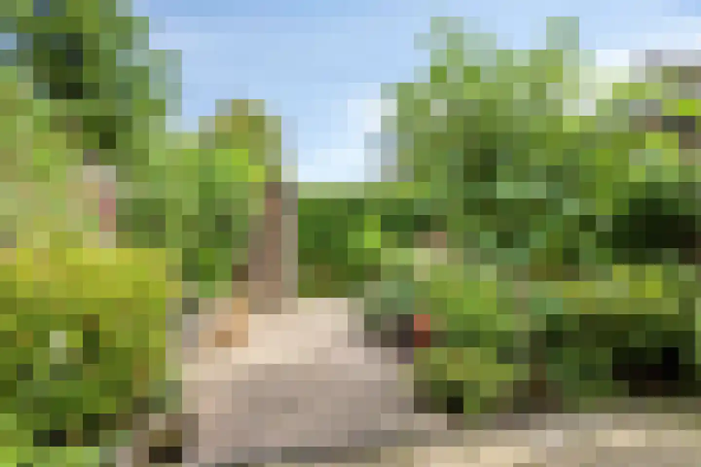 Waterhoen 39 Bunschoten-Spakenburg thumbnail 30