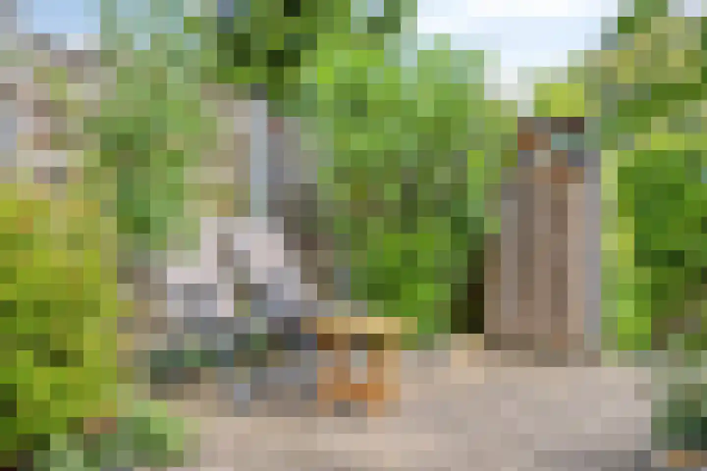 Waterhoen 39 Bunschoten-Spakenburg thumbnail 31