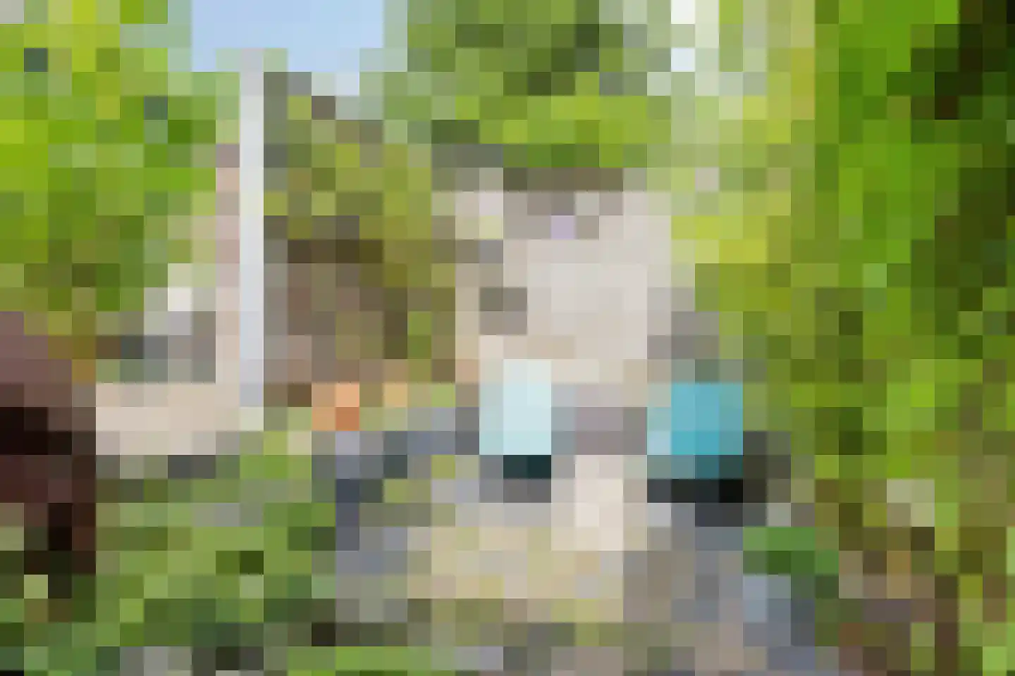 Waterhoen 39 Bunschoten-Spakenburg thumbnail 32