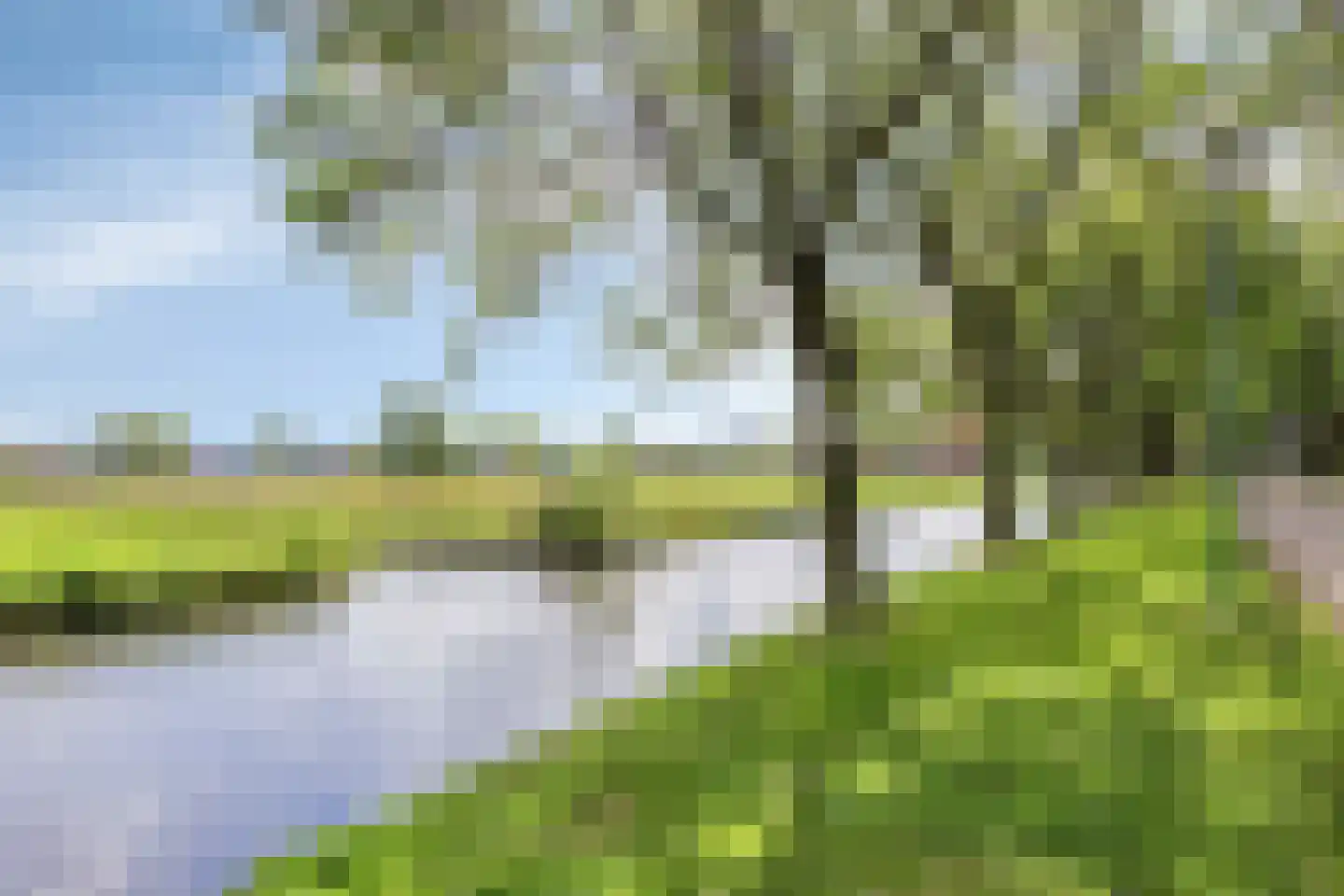 Waterhoen 39 Bunschoten-Spakenburg thumbnail 35