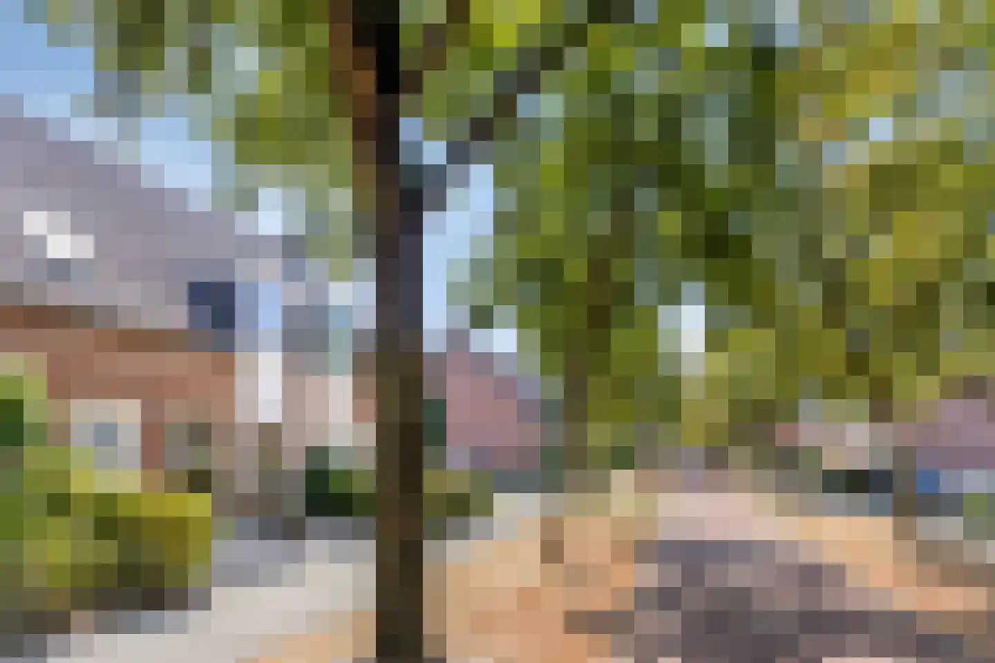 Waterhoen 39 Etten-Leur thumbnail 32
