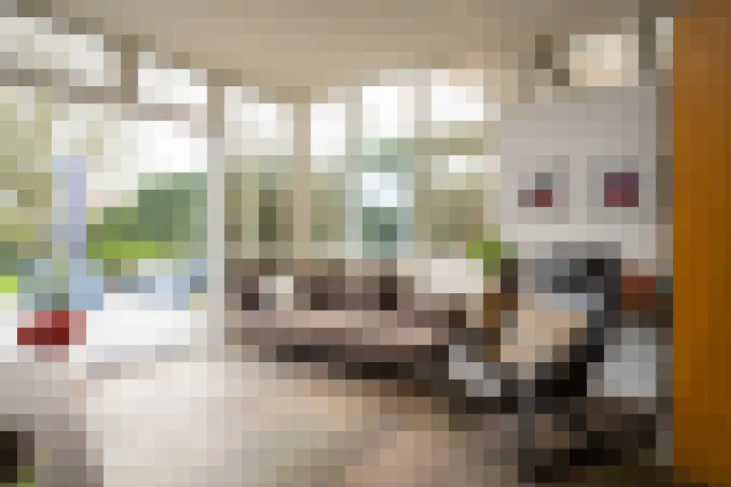 Waterhoen 4 A 's-Hertogenbosch thumbnail 24