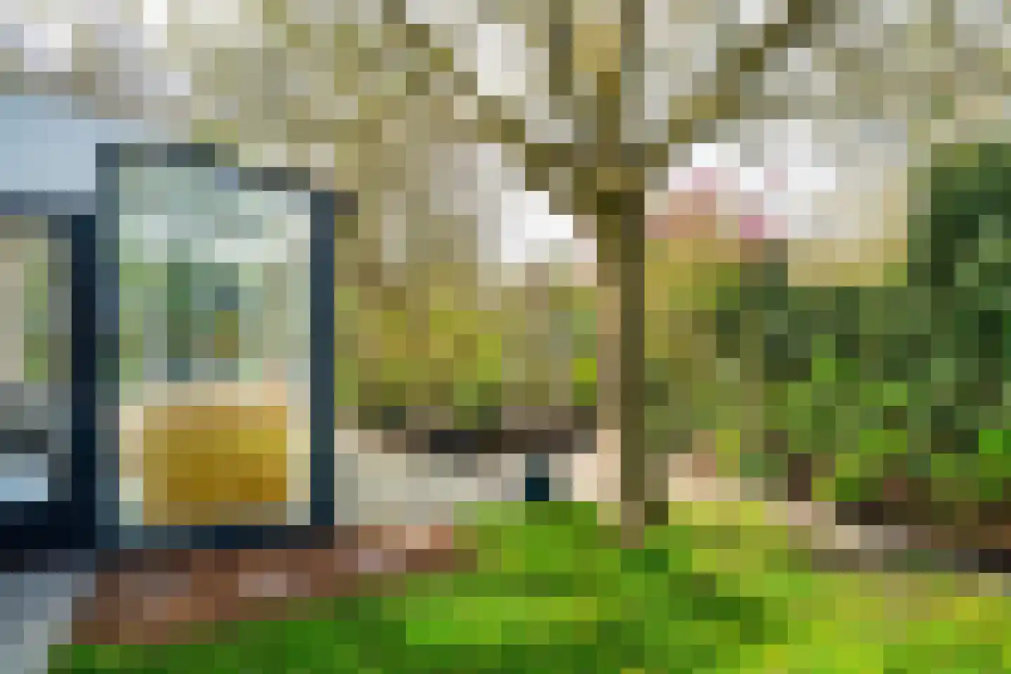 Waterhoen 4 A 's-Hertogenbosch thumbnail 32