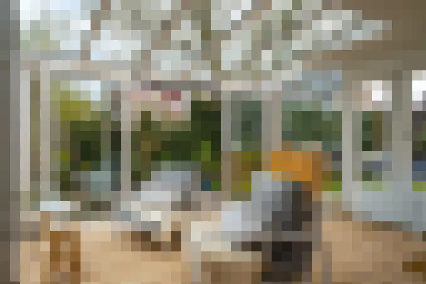 Waterhoen 4 A 's-Hertogenbosch thumbnail 35
