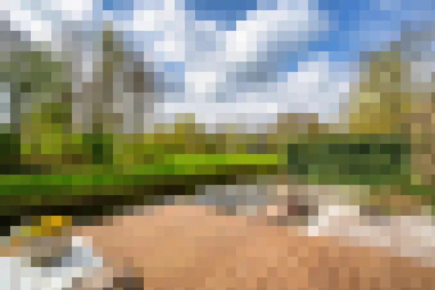 Waterhoen 4 A 's-Hertogenbosch thumbnail 40