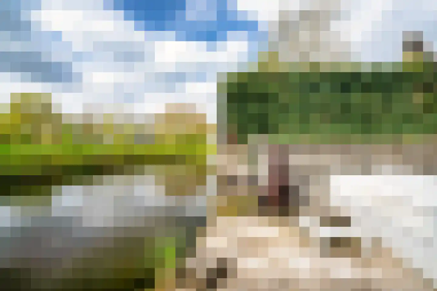 Waterhoen 4 A 's-Hertogenbosch thumbnail 42