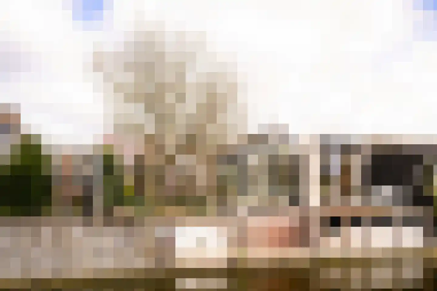 Waterhoen 4 A 's-Hertogenbosch thumbnail 43