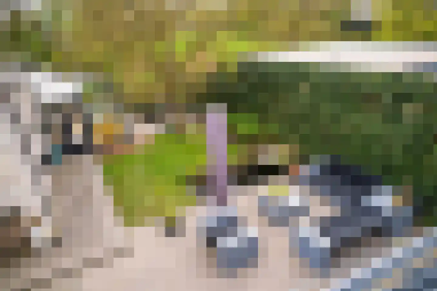Waterhoen 4 A 's-Hertogenbosch thumbnail 52