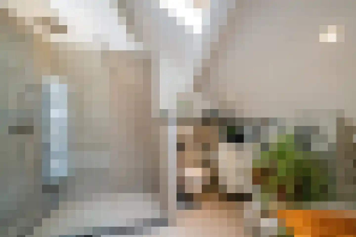 Waterhoen 4 A 's-Hertogenbosch thumbnail 61