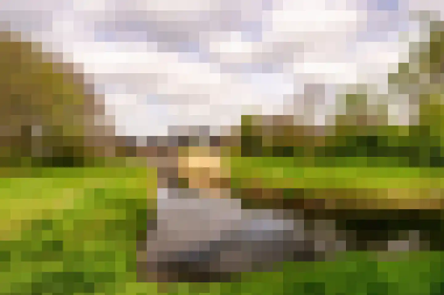 Waterhoen 4 A 's-Hertogenbosch thumbnail 69