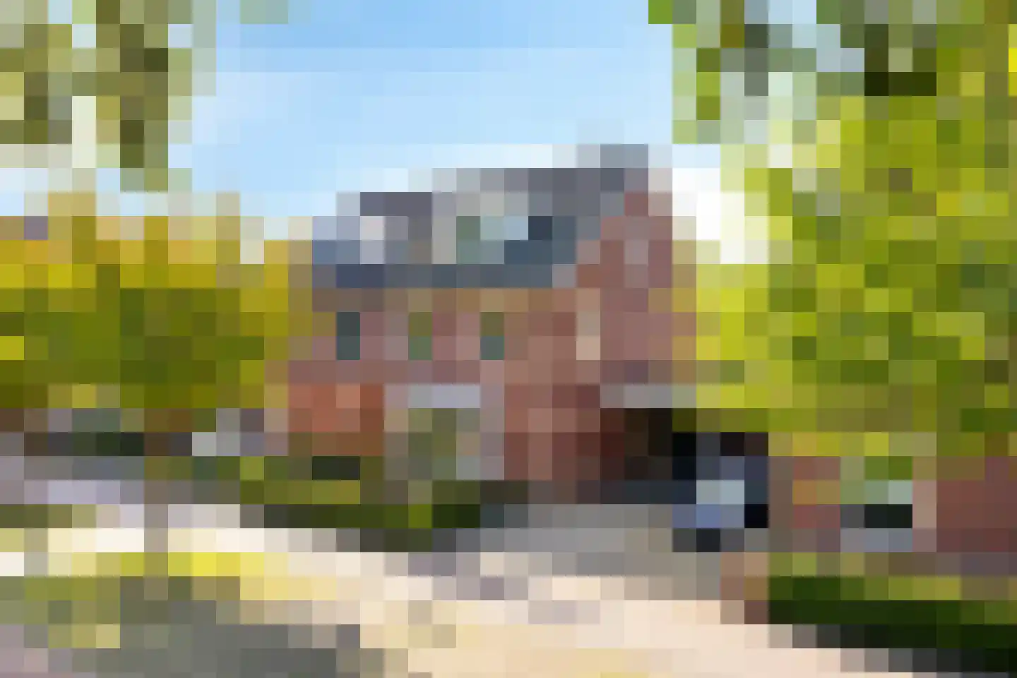 Waterhoen 4 Veenendaal
