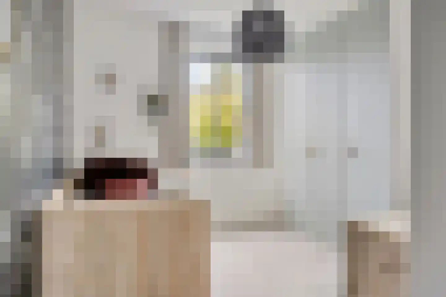 Waterhoen 4 Veenendaal thumbnail 27