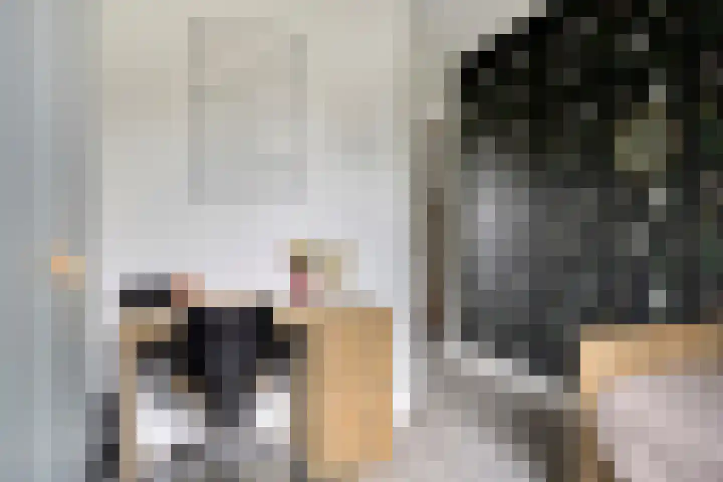Waterhoen 4 Veenendaal thumbnail 28