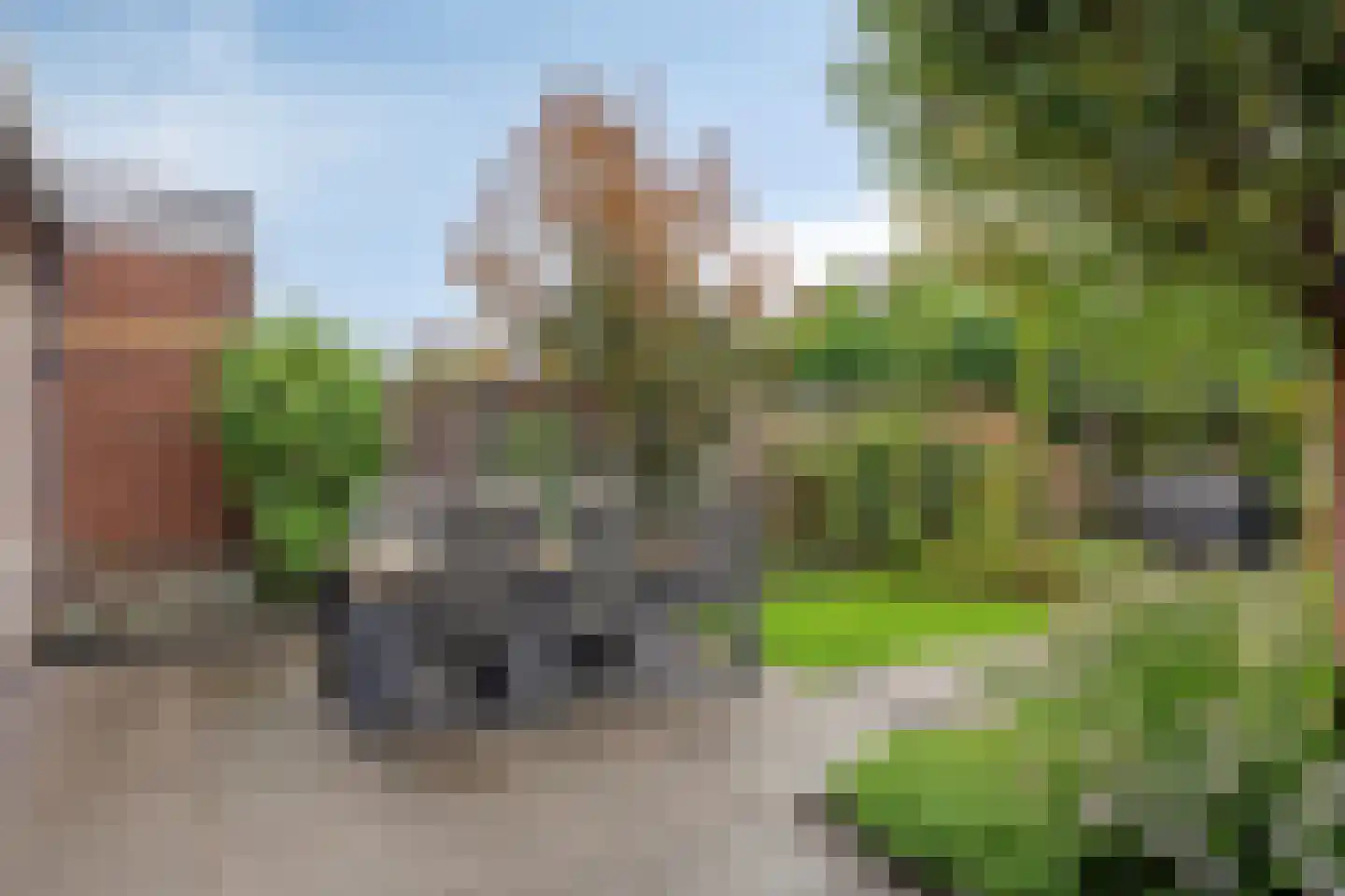 Waterhoen 4 Veenendaal thumbnail 34