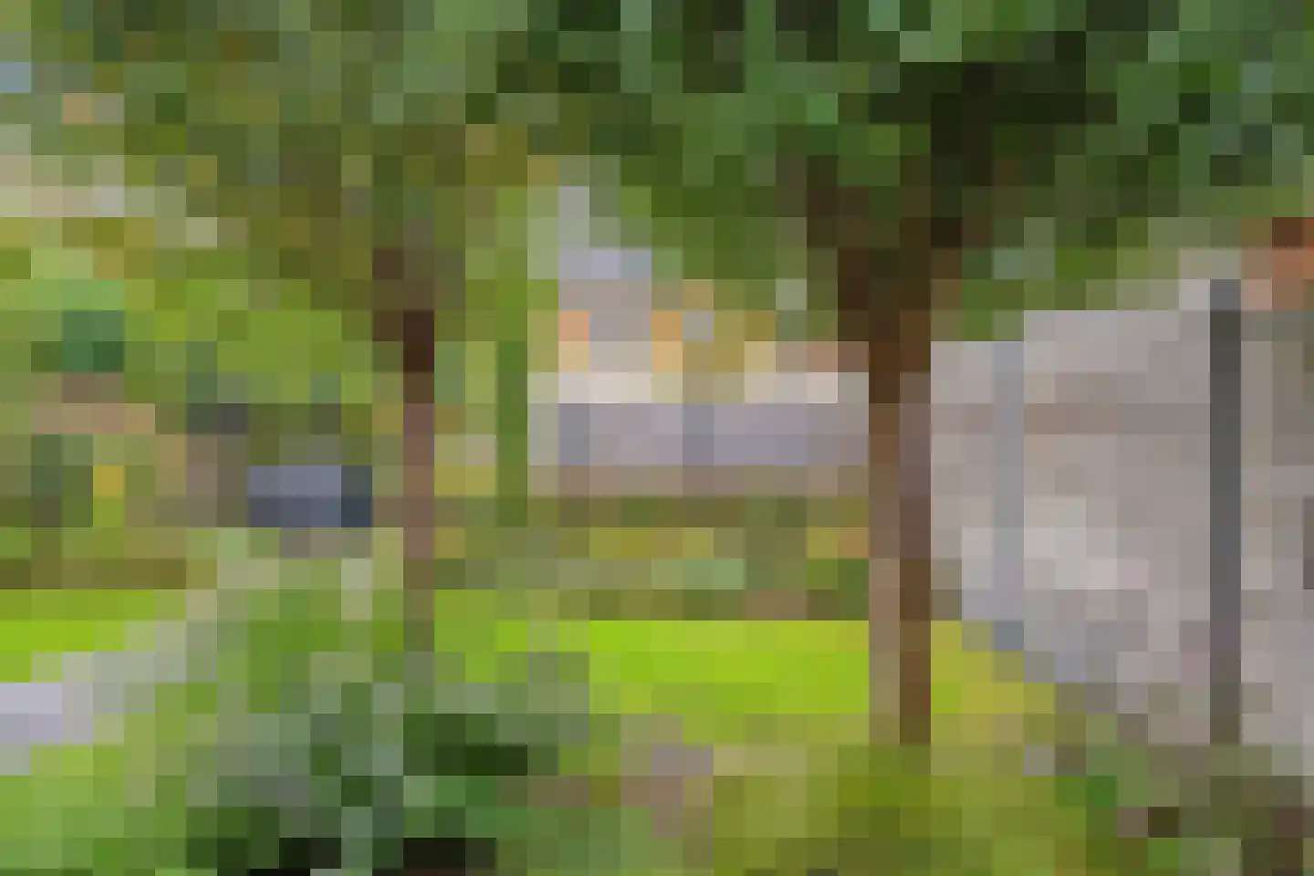 Waterhoen 4 Veenendaal thumbnail 35