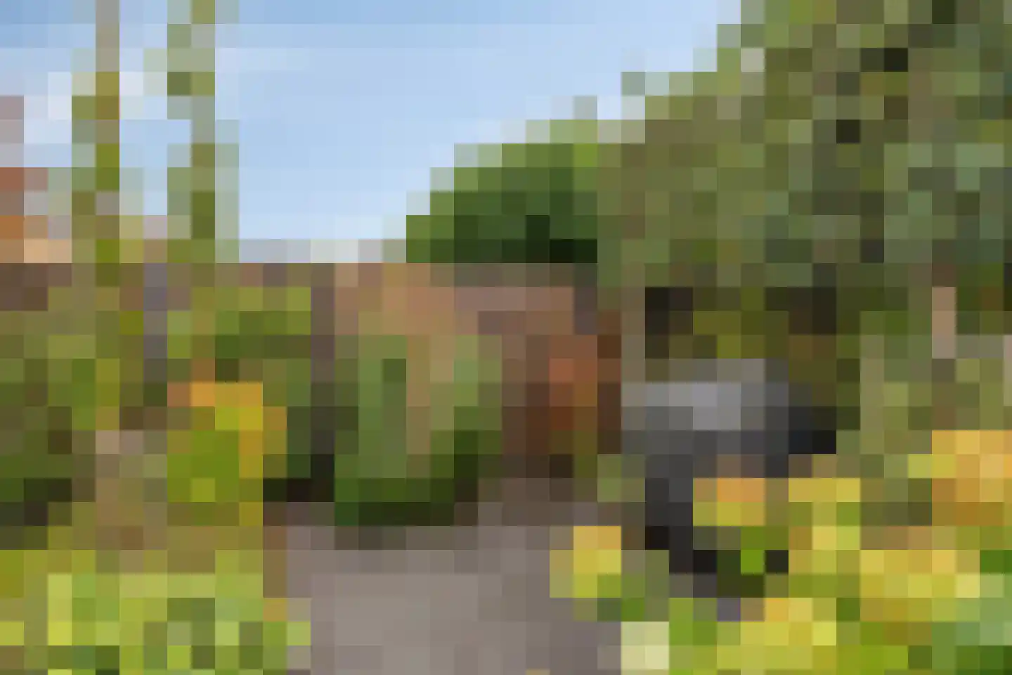 Waterhoen 4 Veenendaal thumbnail 38