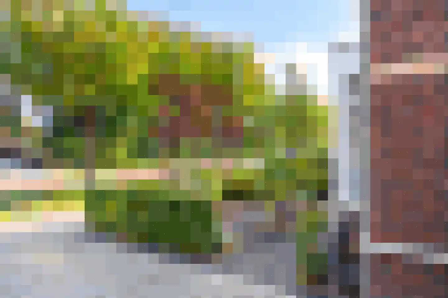 Waterhoen 4 Veenendaal thumbnail 52