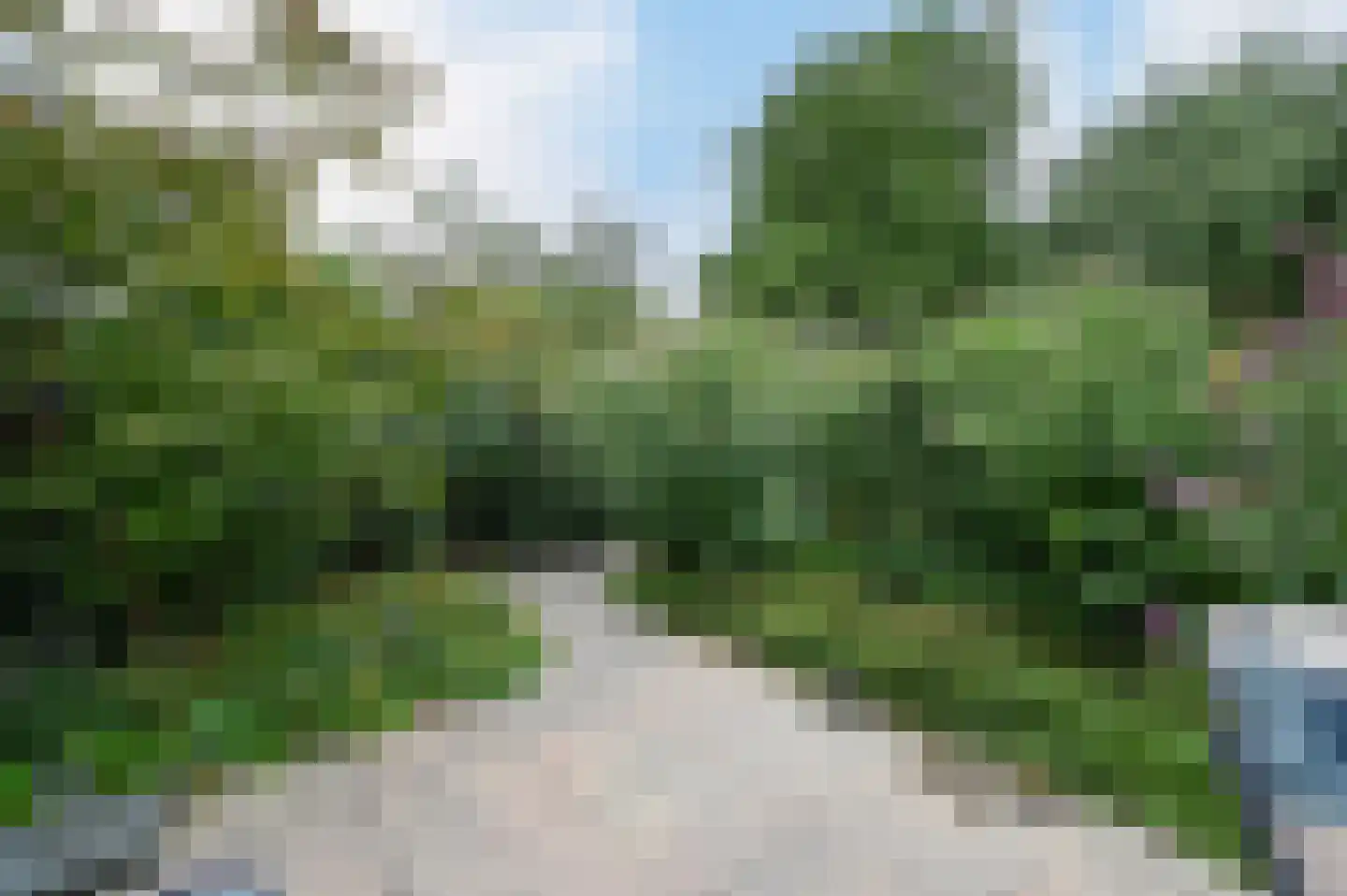Waterhoen 48 Mijdrecht thumbnail 25