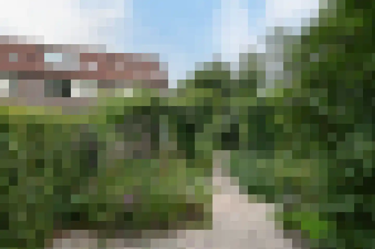 Waterhoen 48 Mijdrecht thumbnail 30