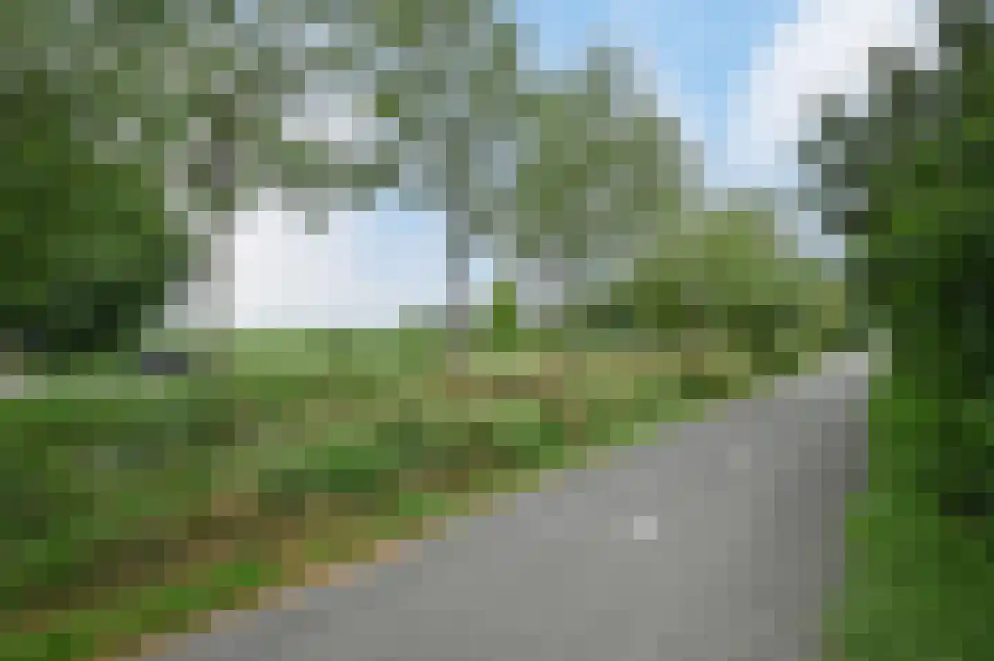 Waterhoen 48 Mijdrecht thumbnail 32