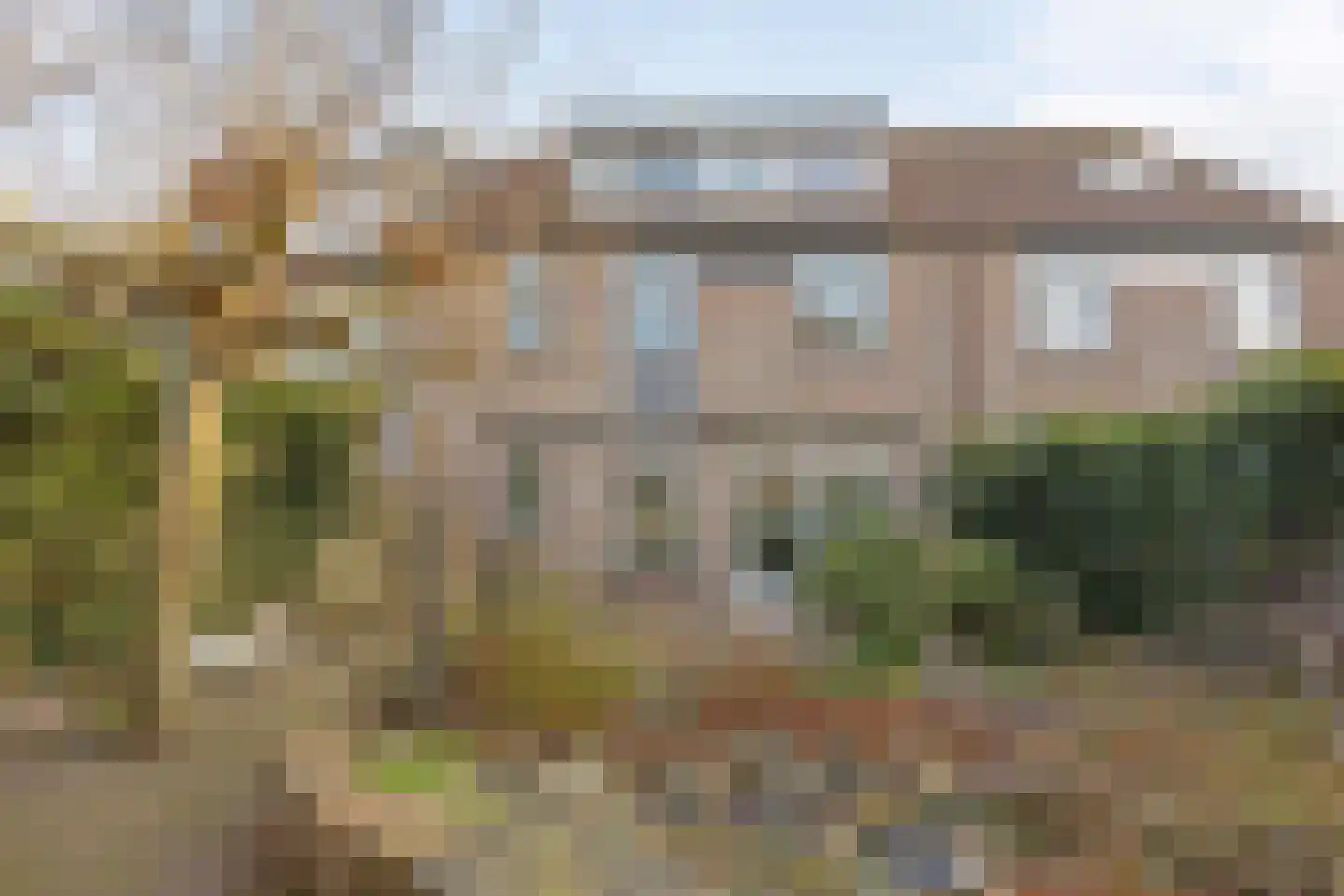 Waterhoen 5 Muiderberg