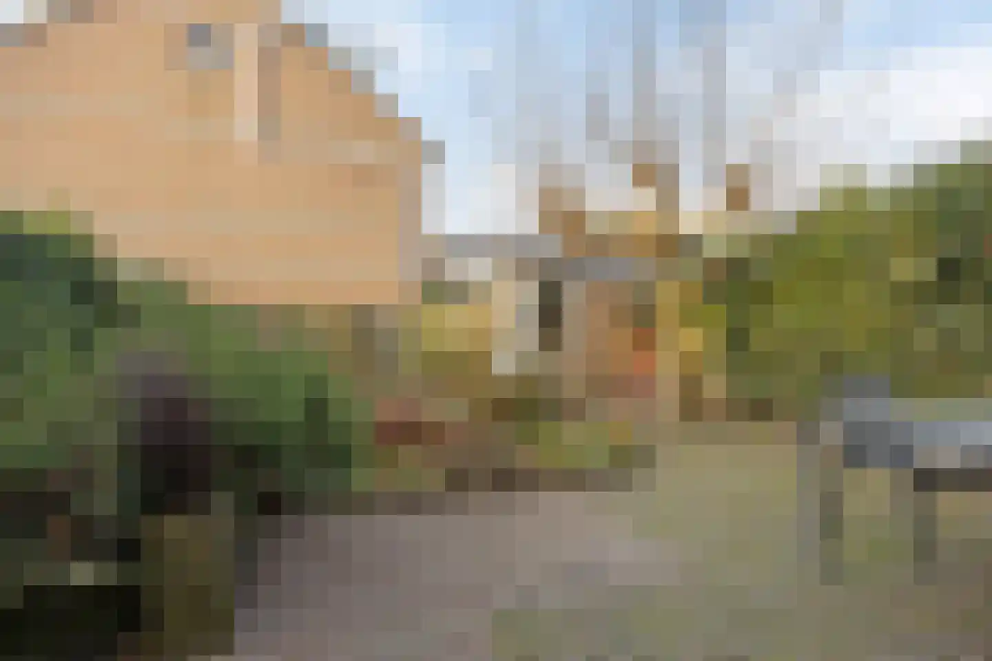 Waterhoen 5 Muiderberg thumbnail 10