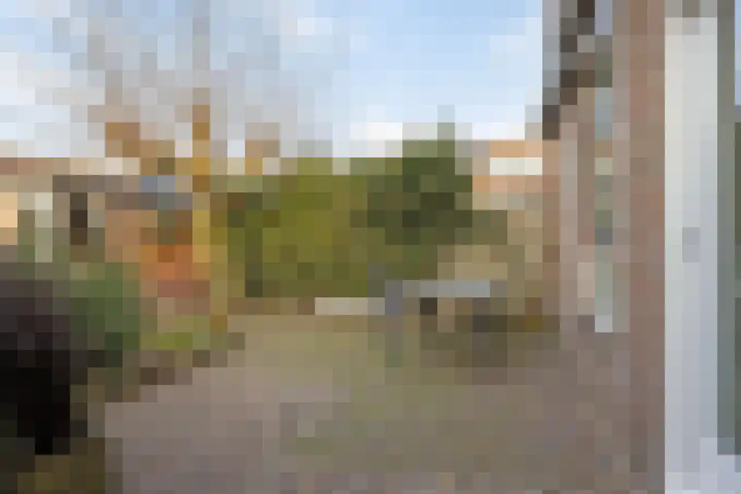 Waterhoen 5 Muiderberg thumbnail 12