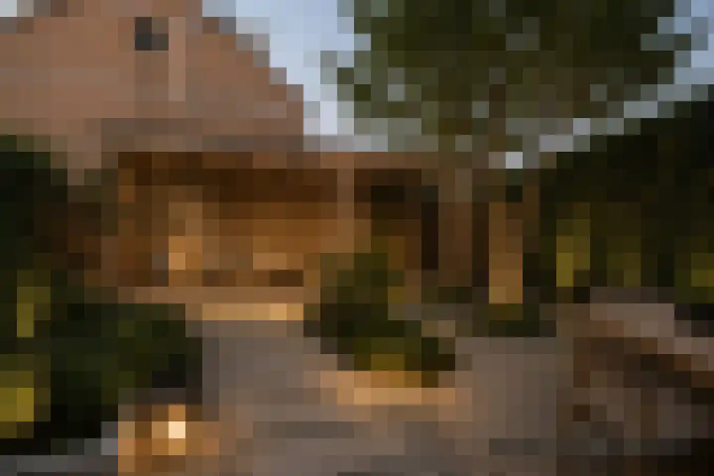 Waterhoen 5 Muiderberg thumbnail 13